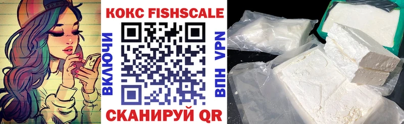 Купить закладки  Валдай  Кокаин Fish Scale 