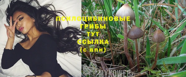 ешки Белоозёрский