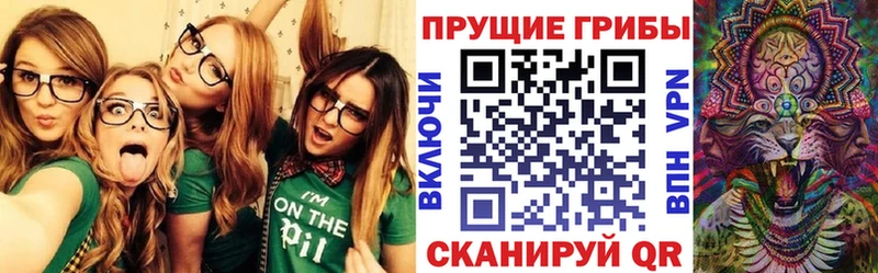 Купить закладки Валдай Псилоцибиновые грибы MAGIC MUSHROOMS
