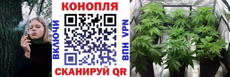 Канабис VHQ Валдай